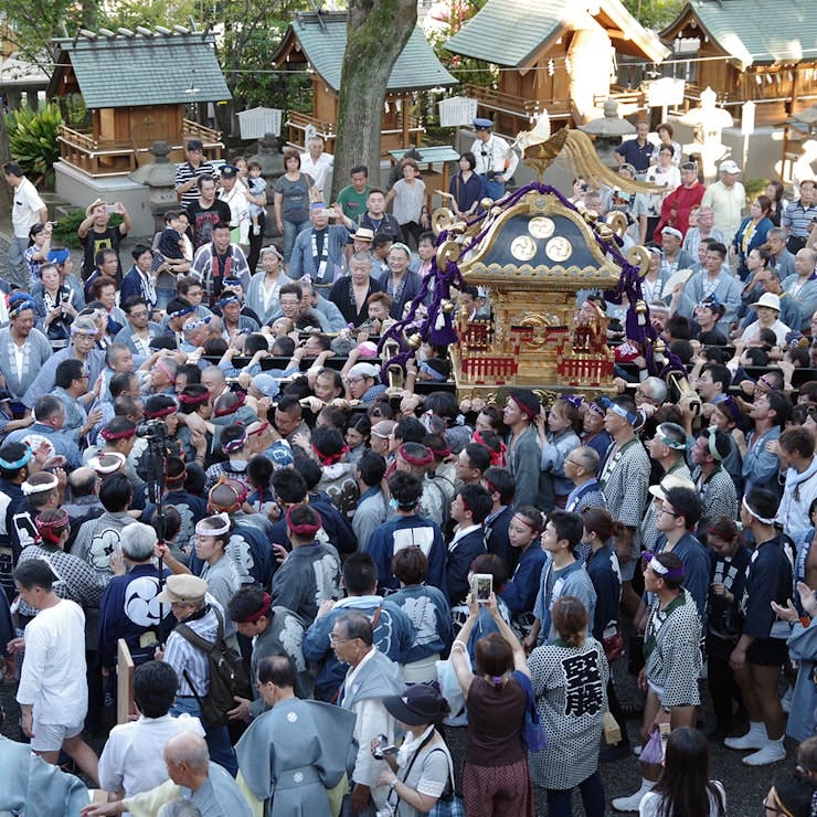 亀戸香取神社神幸大祭本社「こんにゃく神輿渡御」を応援してまいります。2024年８月11日（日）